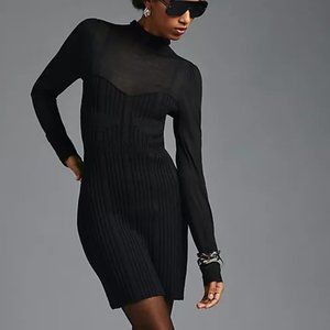 Anthropologie Turtleneck Sweater Dress